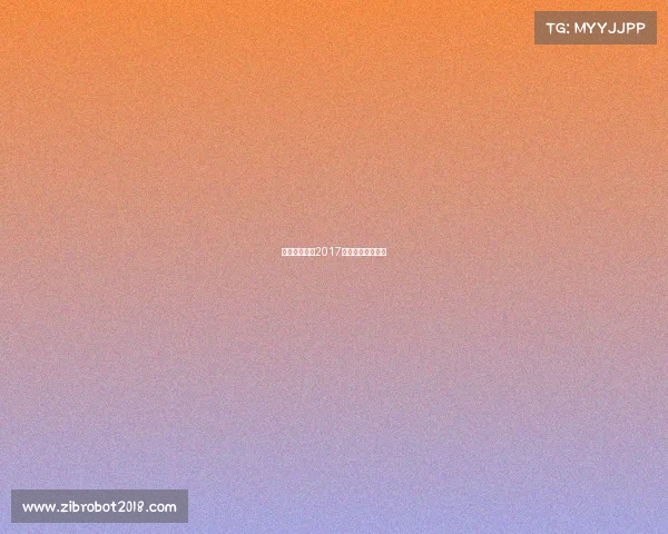 沙漠越野赛事2017、沙漠越野车比赛